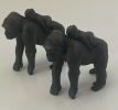 The orangutan model is a simulation tool widely used in biology, artificial intelligence and robotics research. As primates, orangutans are known for their high intelligence and flexible behavior.