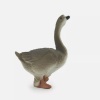 In recent years, goose model has been paid more and more attention in many fields of research and application. Geese, as a representative water bird, are thought-provoking in their group characteristics and behavior patterns.