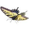 Butterfly model is a tool widely used in decision analysis, organization management and project planning. Its core idea is to simplify the transmission and understanding of complex information through intuitive visual representation.