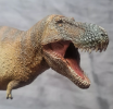 Dinosaur models are simulation models made of dinosaurs for scientific research, educational display and collection to help understand the shape, structure and ecological characteristics of dinosaurs.