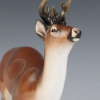 White-tailed deer specimens are scientific models that accurately reproduce the appearance and structure of white-tailed deer and are widely used in museum display