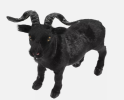 Goat model is a mathematical model widely used in the fields of ecology, agriculture and economics, aiming to simulate the ecological behavior of goat as an agricultural animal and its interaction with the environment.