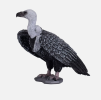 The vulture model is a heuristic algorithm for solving complex optimization problems, inspired by vulture foraging behavior in nature. Vultures are known for their efficient predation strategies, being able to search for food over a wide area.