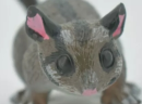 By simulating various scenarios and dynamically adjusting strategies, the possum model helps decision makers to optimize decisions in uncertain and complex environments and improve the adaptability and anti-risk ability of the system.