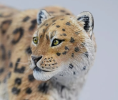 Leopard Model is a flexible, data-driven analysis tool that helps systems respond efficiently to challenges and improve performance in dynamic environments by quickly reacting and optimizing strategies.