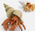 Through multi-angle analysis, flexible adjustment and strong adaptability, Crab model helps optimize decision making in complex systems, and is widely used in enterprise management, market analysis and project management to improve the overall