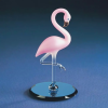 The flamingo model is a theoretical model widely used in ecology and biology. Its core concept stems from the observation and analysis of the population dynamics of species in certain ecosystems.