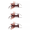 Lobster, as an important Marine organism, has unique physiological structure and ecological characteristics.Scientists can gain insight into the interaction of physiological mechanisms, behavioral patterns, and ecological environments.