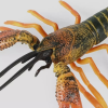 Crayfish models are works of art based on crayfish structures, which are widely used in education, scientific research and ecological conservation to help people better understand the characteristics and ecological significance of this creature.