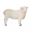 In nature, sheep are known for their herd behavior. When one sheep moves, other sheep tend to move with it, and this collective action increases their chances of survival against predators.