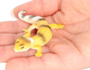 The gecko model is a bio-inspired design that mimics the climbing ability of the gecko, based on its unique foot structure, and is widely used in robotics, adsorption materials and other fields, demonstrating the combination of nature and technology.