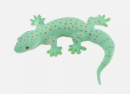 Geckos, these nimble little reptiles,have attracted attention for their unique ability to attach. The ability of geckos to climb freely on various surfaces and even walk upside down on ceilings stems from the peculiarities of their foot construction.